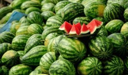 吃瓜网红永久地址,带你走进网红背后的世界